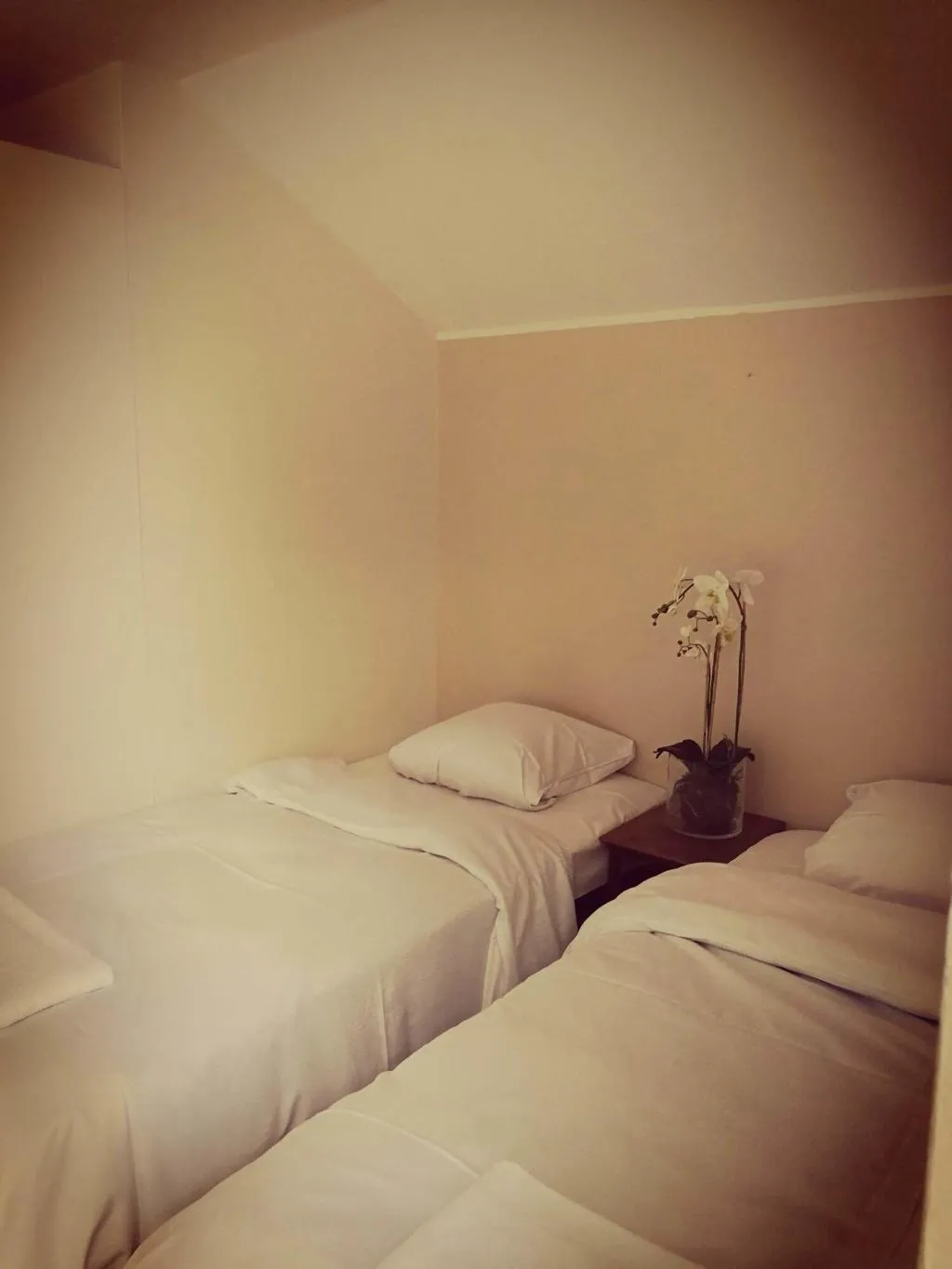 Room, Copenhagen Inn Guesthouse, Copenhagen