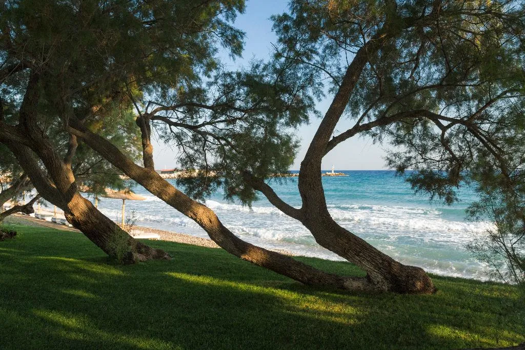 Beach, Samaina Inn Hotel, Samos