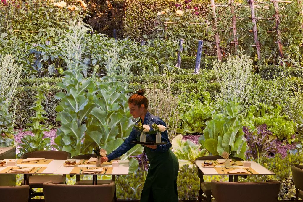 Restaurant, Starhotels E.c.ho. Milano, Milan