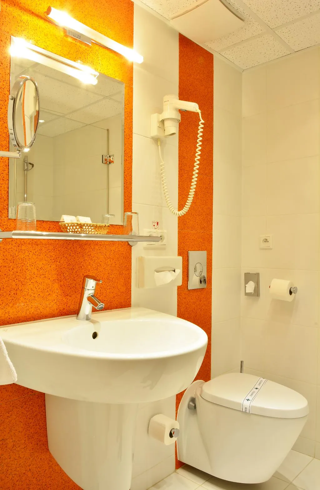 DOUBLE SINGLE USE STANDARD Room, Olympik Artemis, Prague