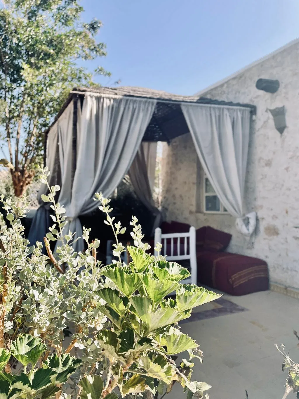 Double or Twin DELUXE POOL VIEW Room, Out Of Medina, Essaouira