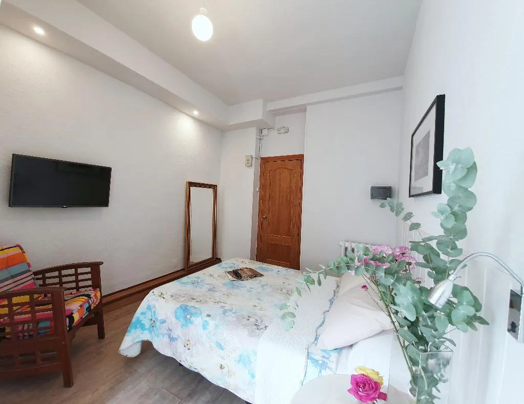 DOUBLE STANDARD Room, Hostal Alicante, Madrid