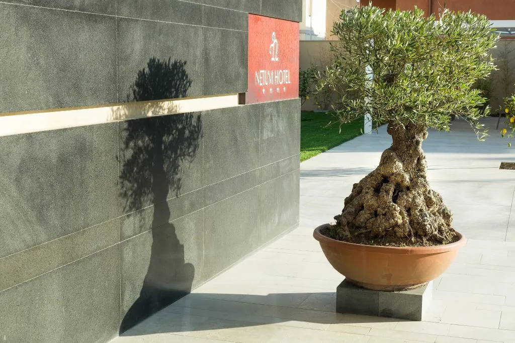 Terrace, Netum Hotel, Catania