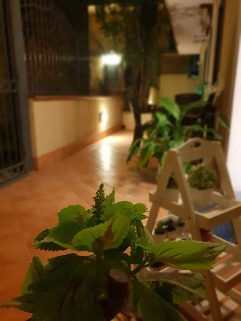 General view, Dimoramuri B&b, Catania