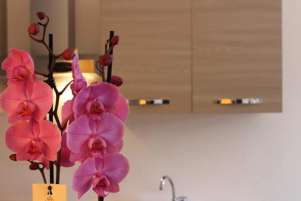APARTMENT CAPACITY 3 Room, Tramonti Green, Naples