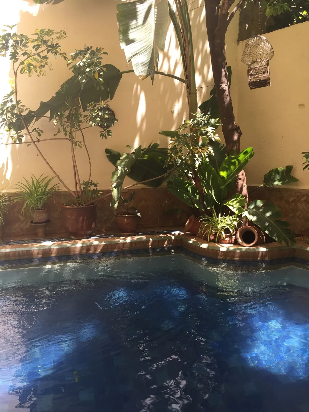 Pool, Riad La Cle De Fes, Fez