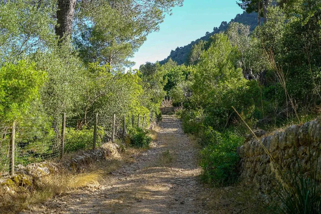 Sports and Entertainment, Hotel Rural S'Olivaret, Majorca