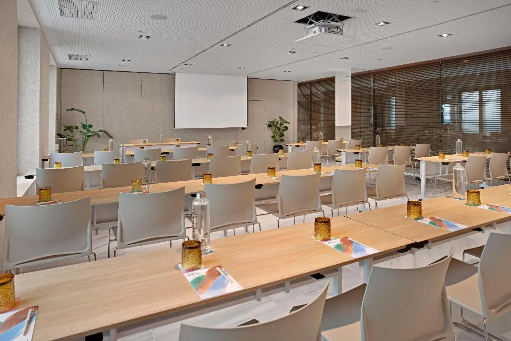 Conferences, Melia Madrid Serrano, Madrid