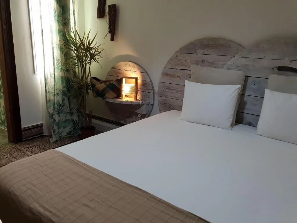 Room, Cactus Host, Gran Canaria