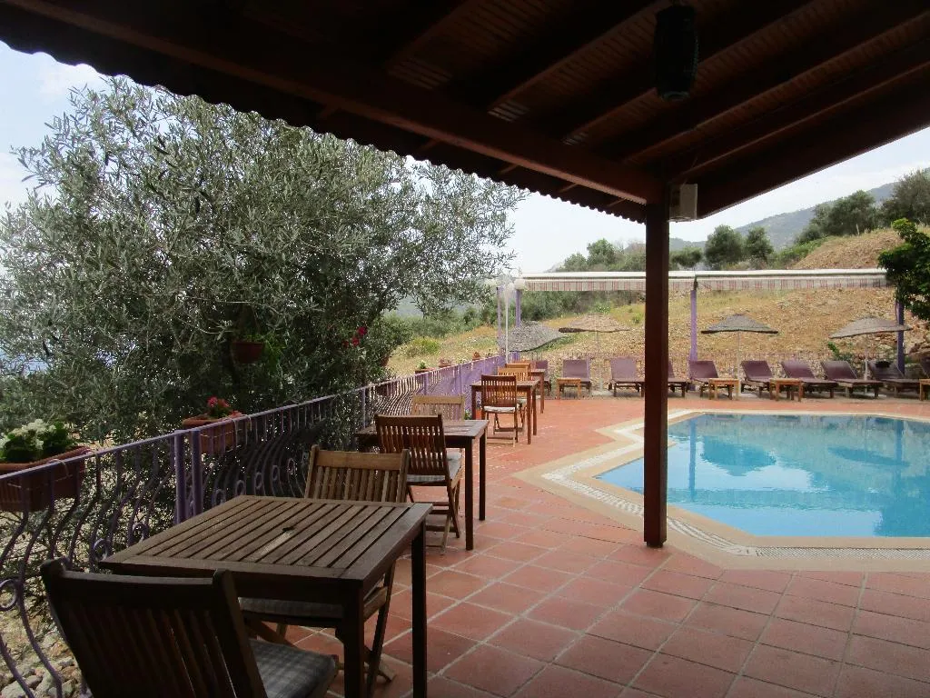 Pool, Lavanta Boutique Hotel, Dalaman
