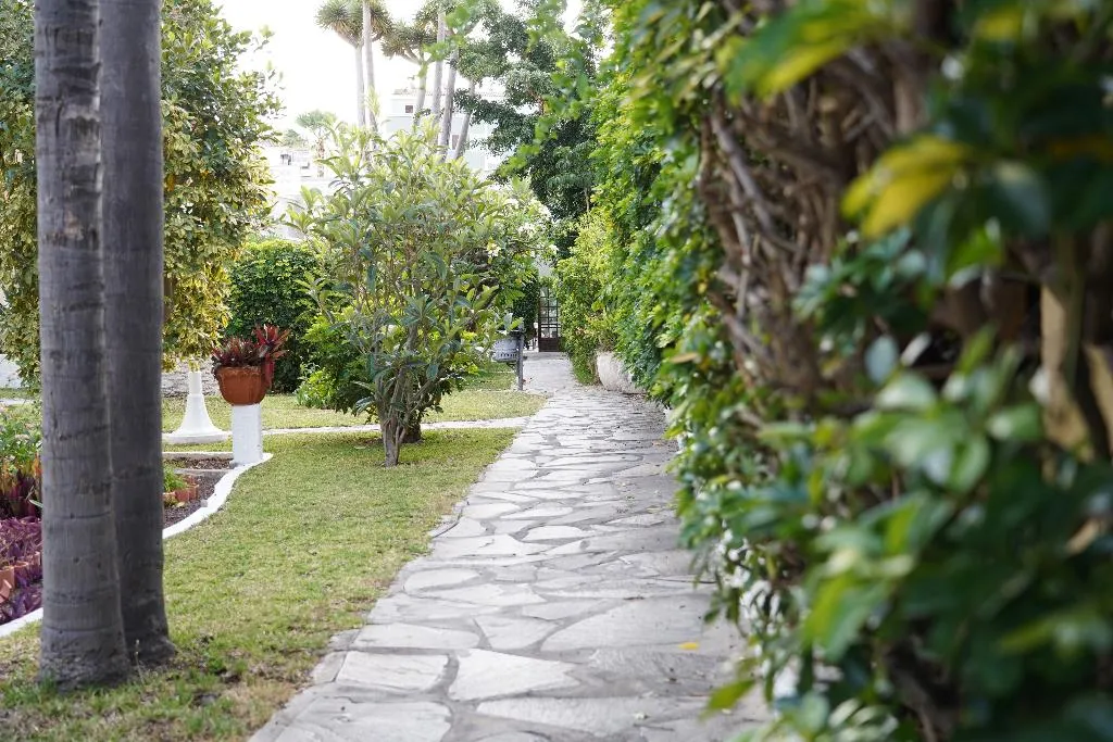 General view, RF San Borondon, Tenerife