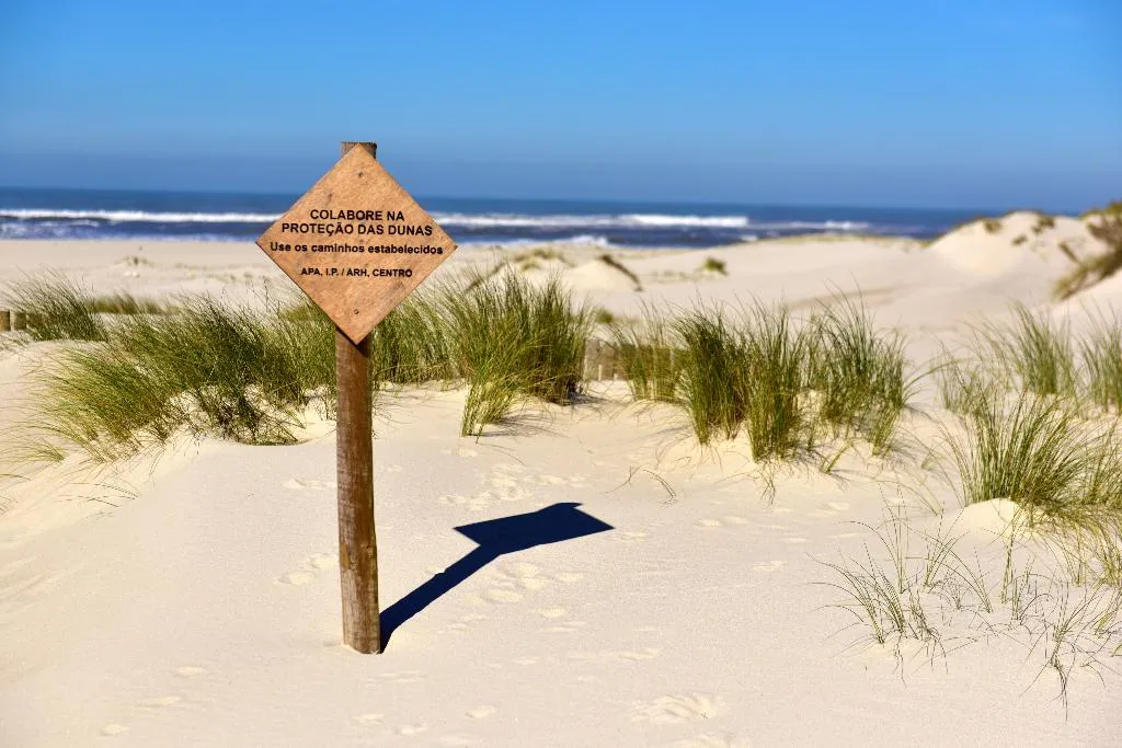 Beach, Pousada Ria – Aveiro, Porto