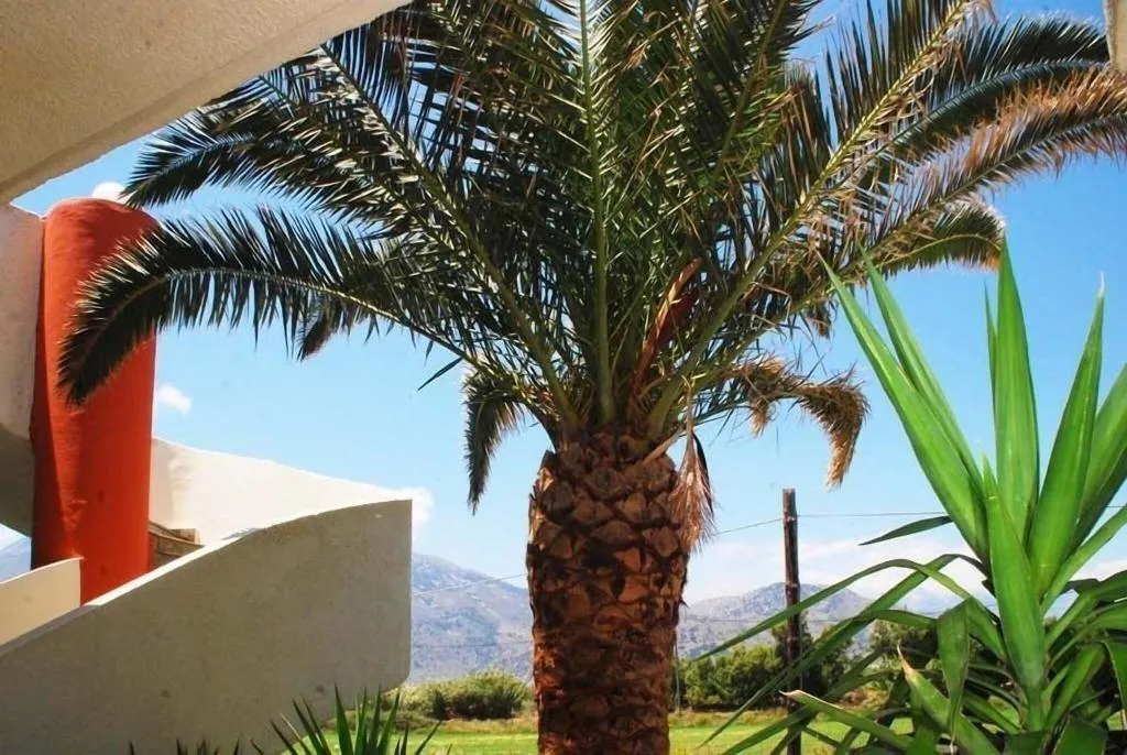 Terrace, Ermioni Hotel, Crete
