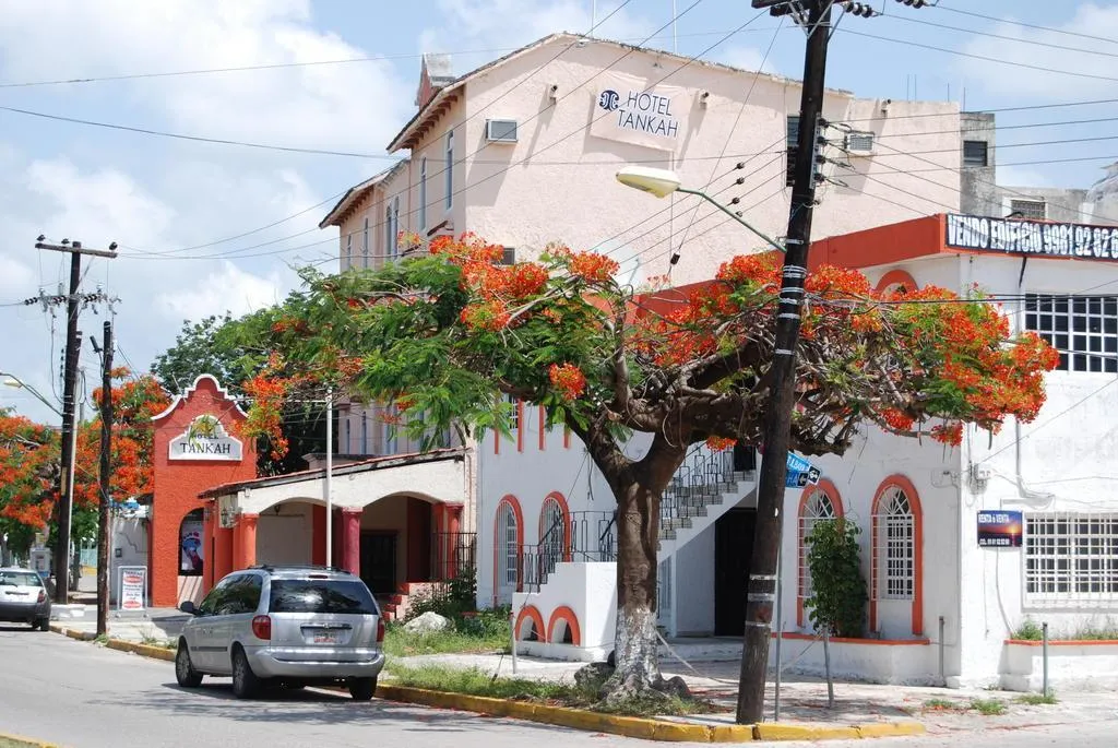 General view, Tankah, Cancun Area