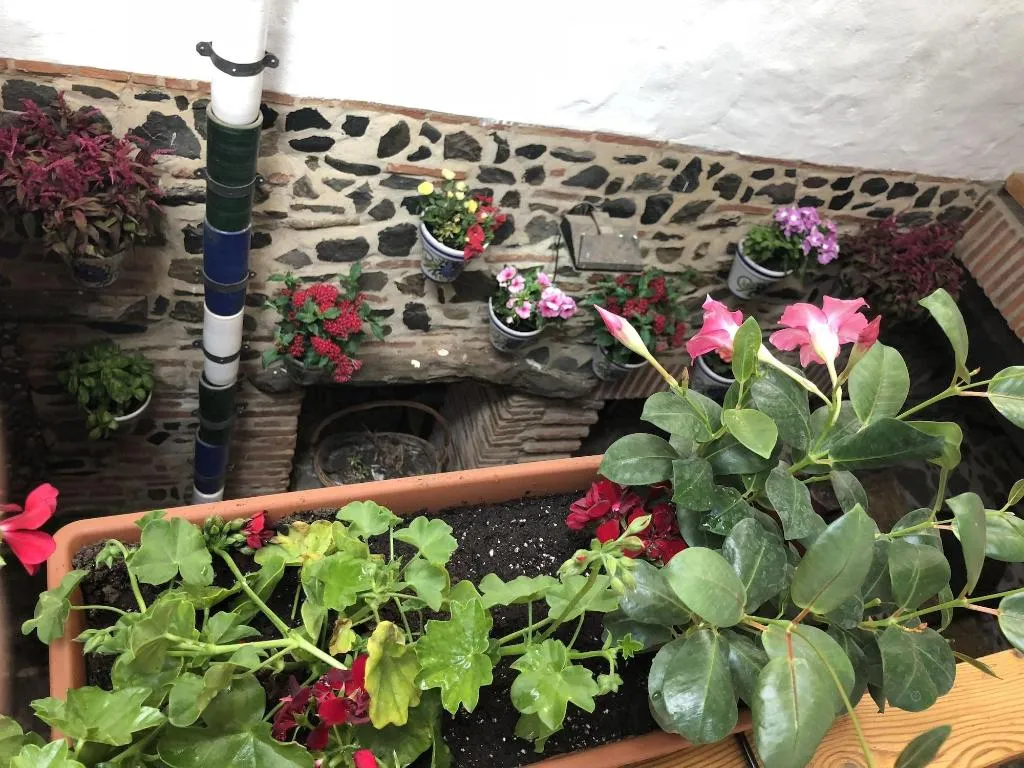 Lobby, Hotel Posada Del Bandolero, Costa Del Sol