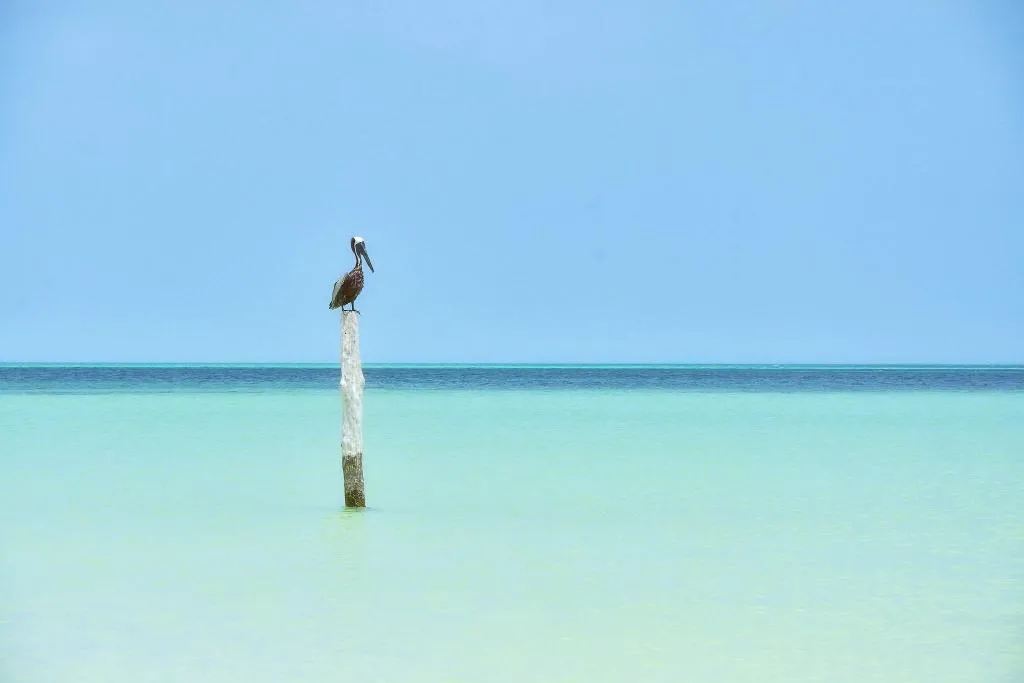 Beach, Soho Boutique Holbox - Adults Only, Cancun Area