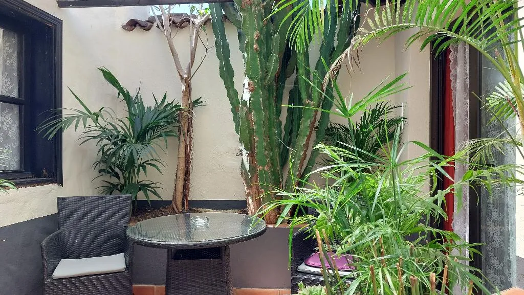 Conferences, Apartamentos Monasterio de San Antonio Only Adults, Tenerife