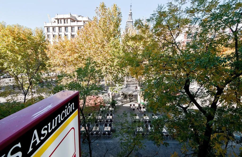 General view, Asuncion Hostal, Madrid