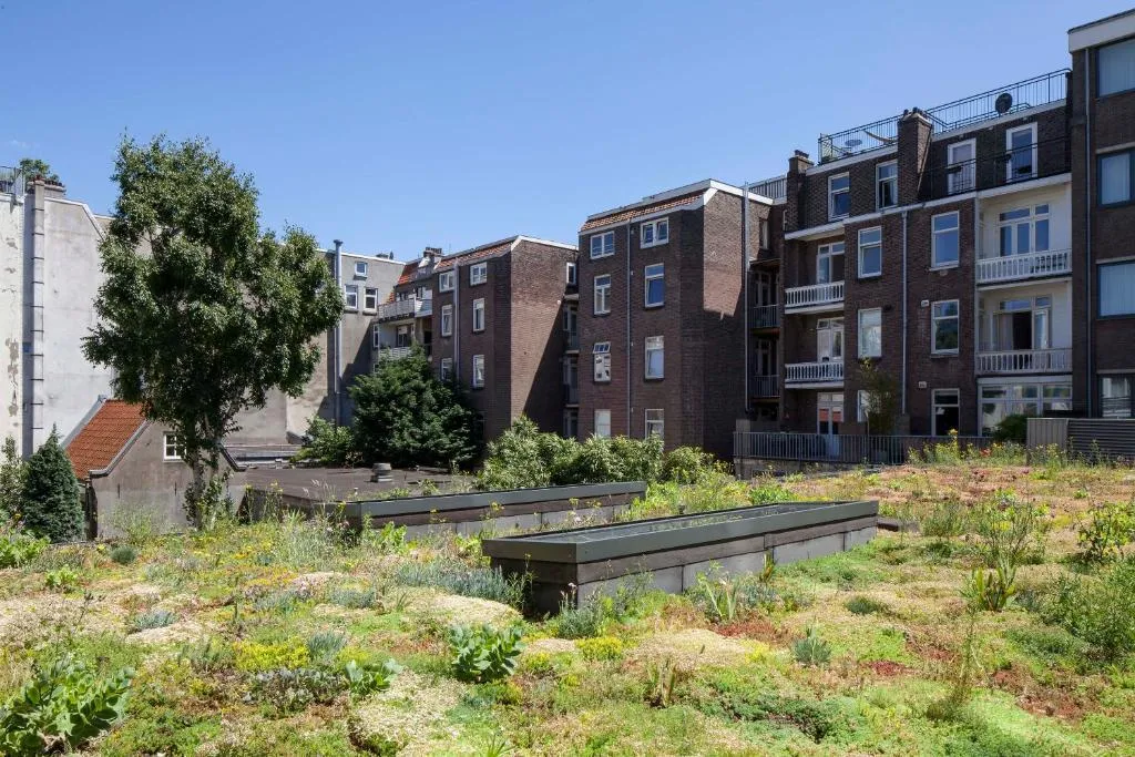 General view, Conscious Hotel Vondel Park, Amsterdam