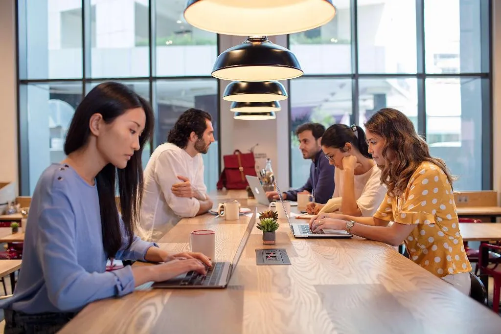 Restaurant, Rove Healthcare City Bur Dubai, Dubai