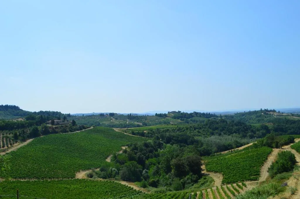 General view, Relais BioFattoria al Bacío, Florence