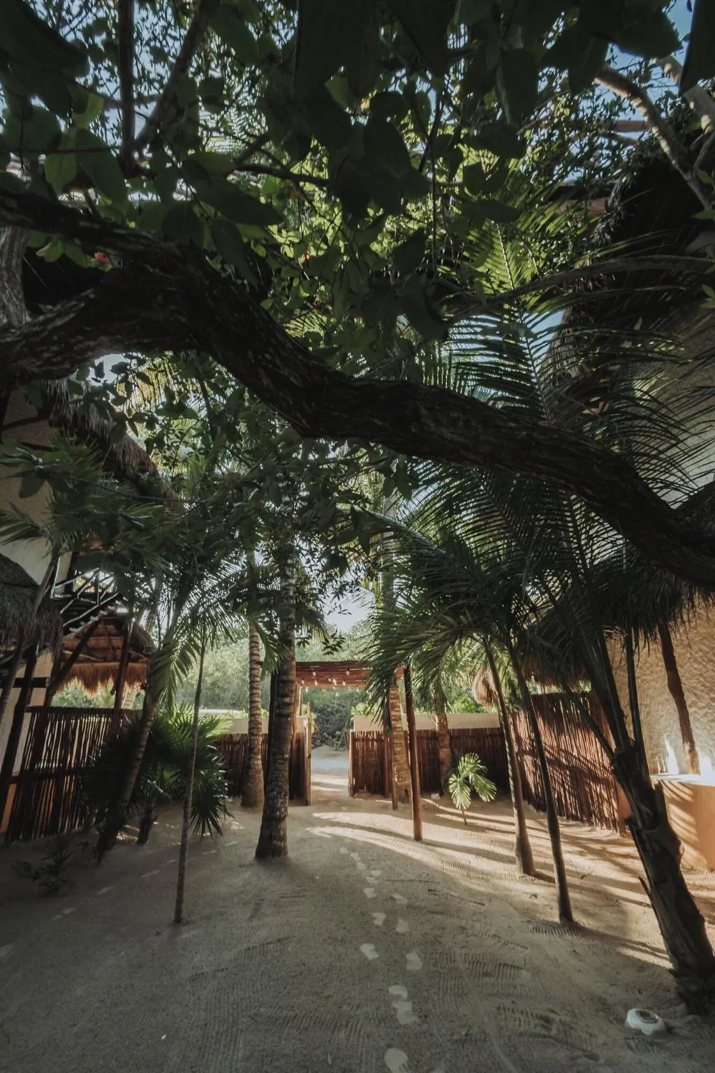 Lobby, Hotel Las Nubes Holbox, Cancun Area