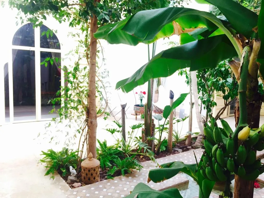 Lobby, Riad 144, Marrakech