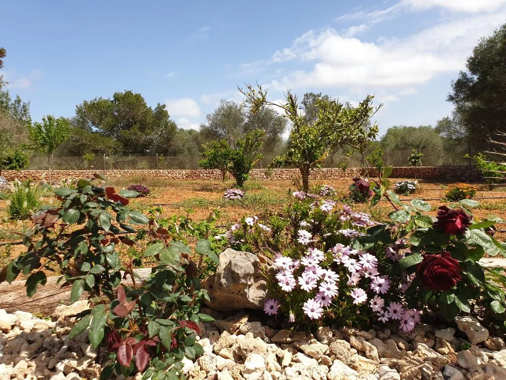 Double or Twin CAPACITY 2 Room, Finca Art 9, Majorca