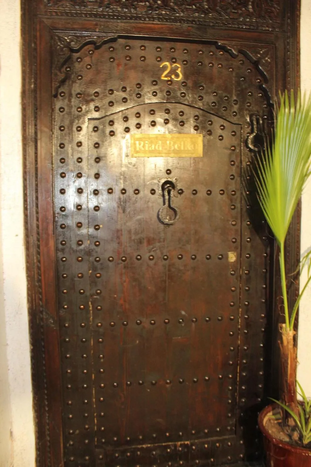 General view, Riad Belko Hostel, Marrakech