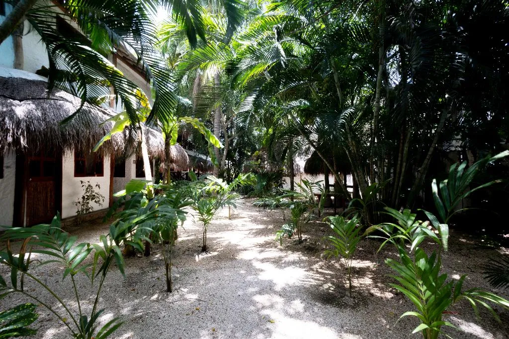 General view, Hotel Casa Barbara Holbox, Cancun Area