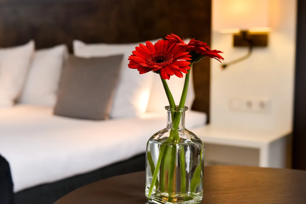 DOUBLE SUPERIOR Room, Amsterdam De Roode Leeuw, Amsterdam