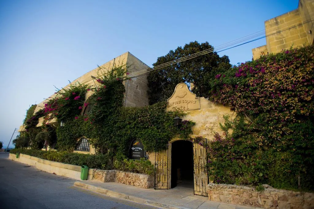 General view, Cornucopia, Gozo