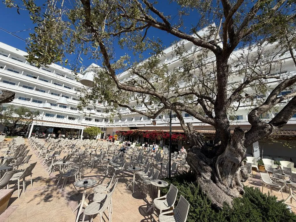 Terrace, Hotel Condesa, Majorca
