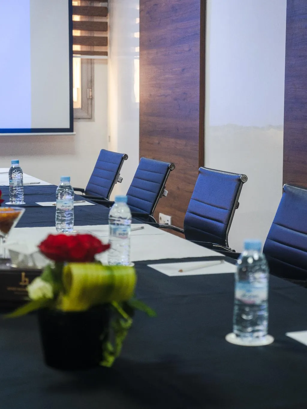 Conferences, Kenzi Basma, Casablanca