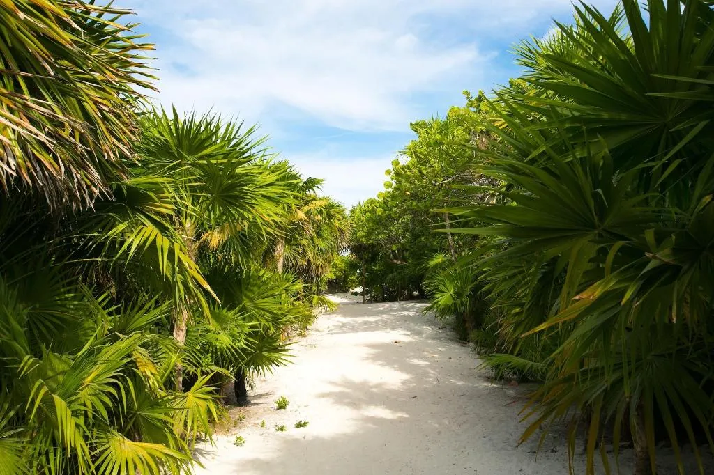 General view, Ikal Hotel Tulum, Cancun Area
