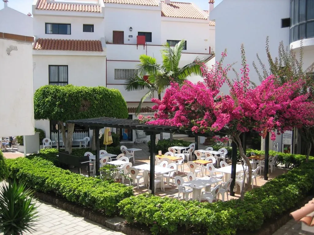 General view, HG Cristian Sur, Tenerife