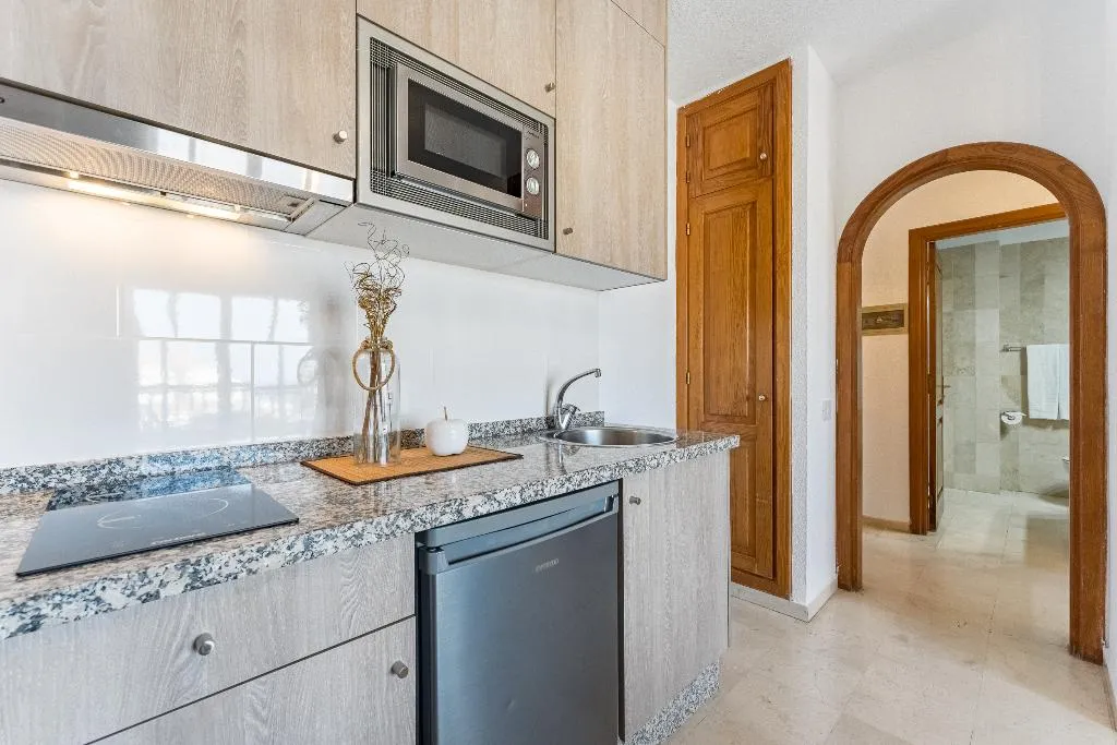 APARTMENT ONE BEDROOM Room, klayman Olivina Aparthotel, Tenerife