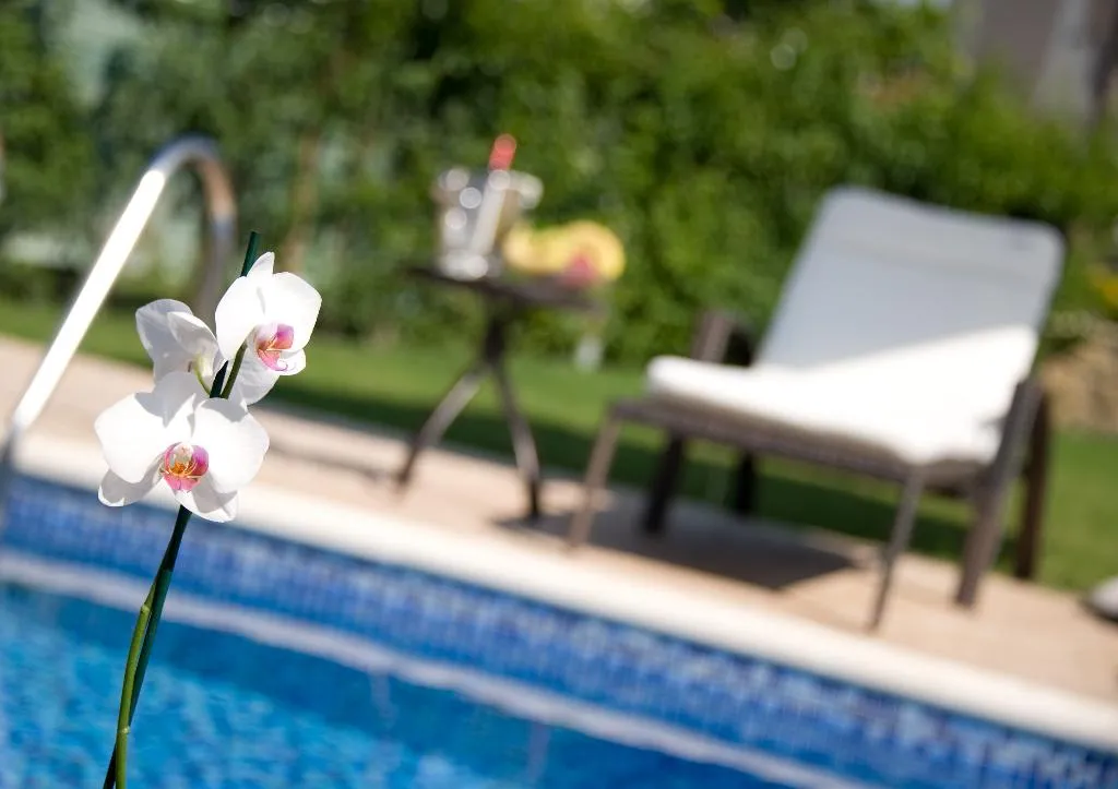 Pool, Mamfredas Luxury Resort, Zante