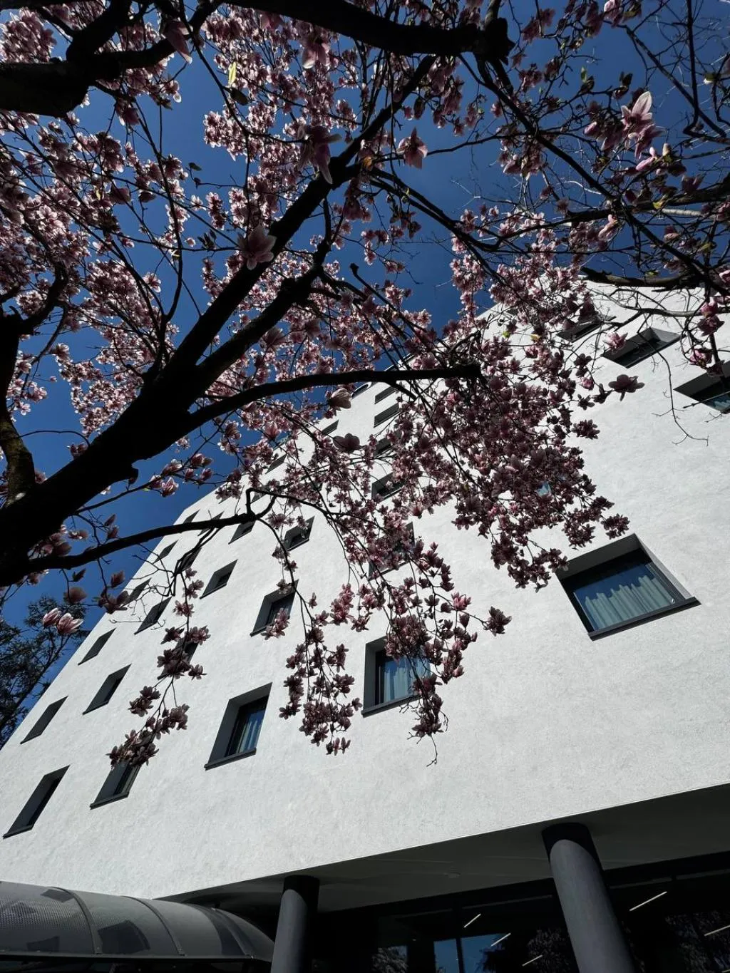 General view, Acca Sporting Milano - AA Hotels, Milan