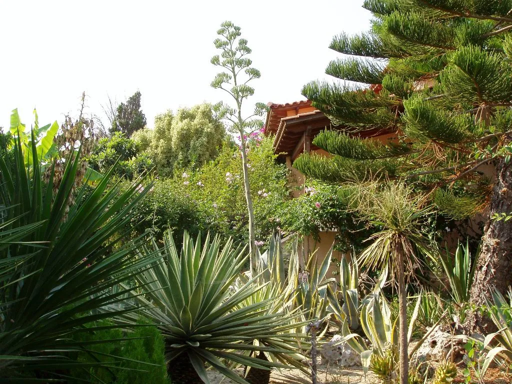 General view, Baha Ammes, Kefallinia