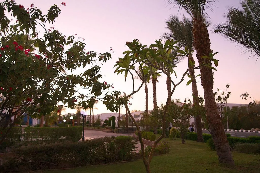 General view, Naama Blue Hotel, Red Sea Riviera