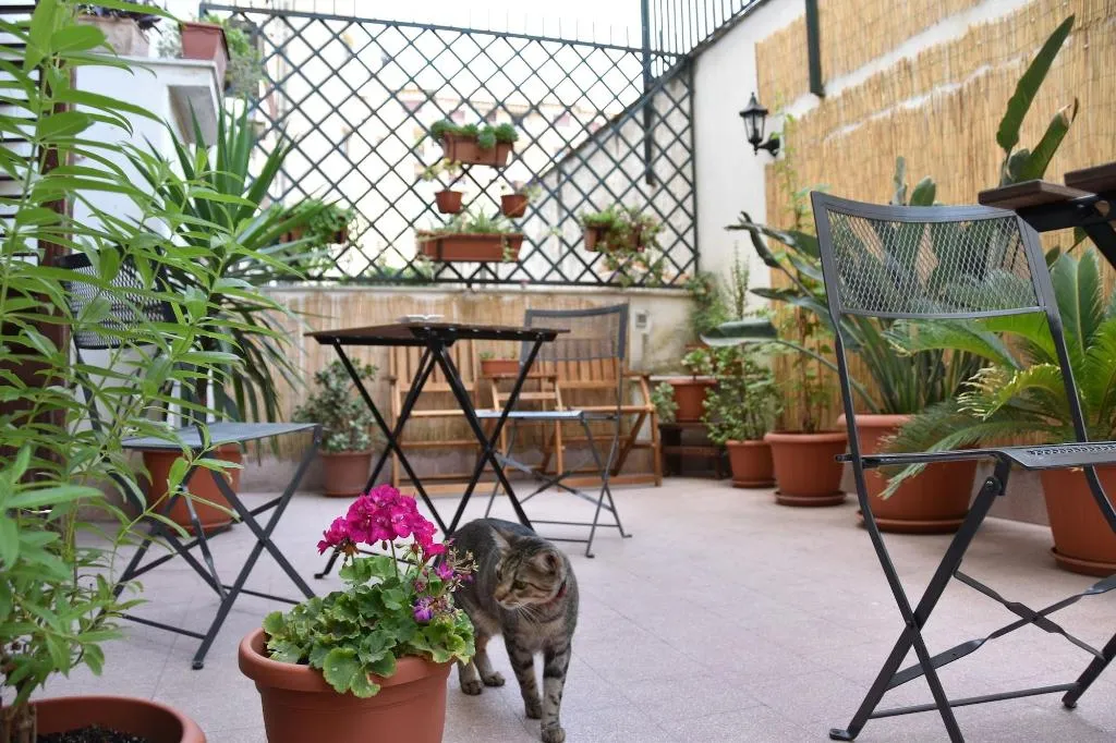 Terrace, Il Lapino, Palermo