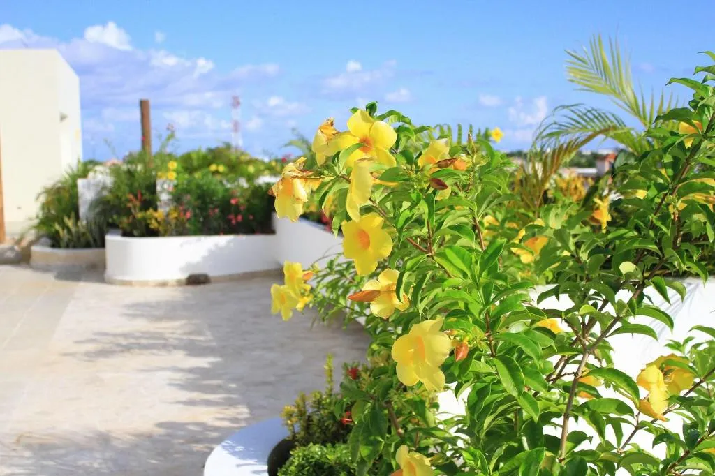 Terrace, Hotel Angelo's, Playa Del Carmen