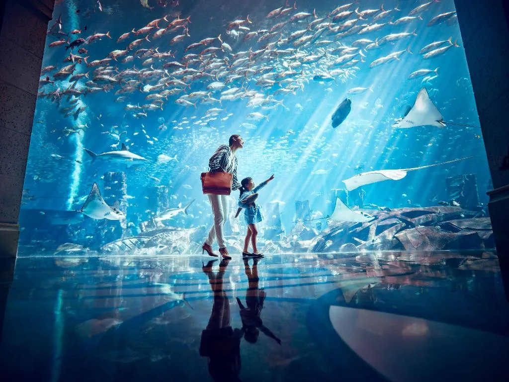 Sports and Entertainment, Atlantis The Palm, Dubai
