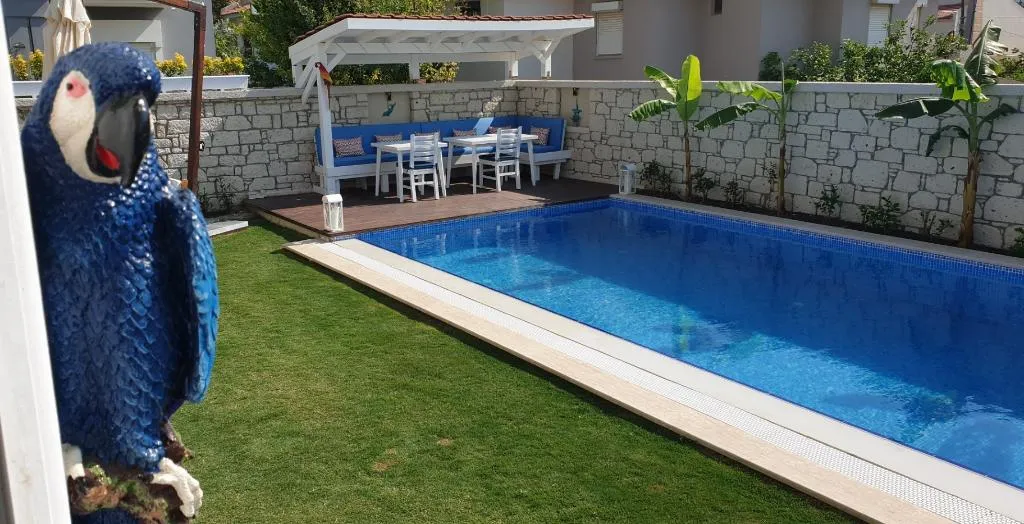 Pool, Villa Peri Butik Otel, Izmir