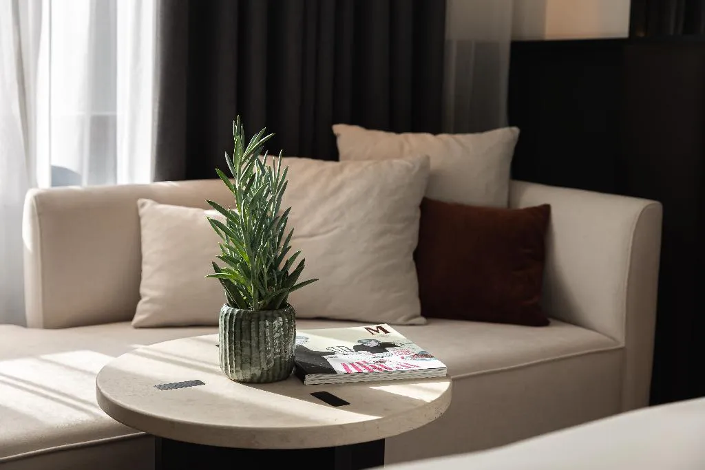 DOUBLE DELUXE Room, Almanac X Alcron Prague, Prague