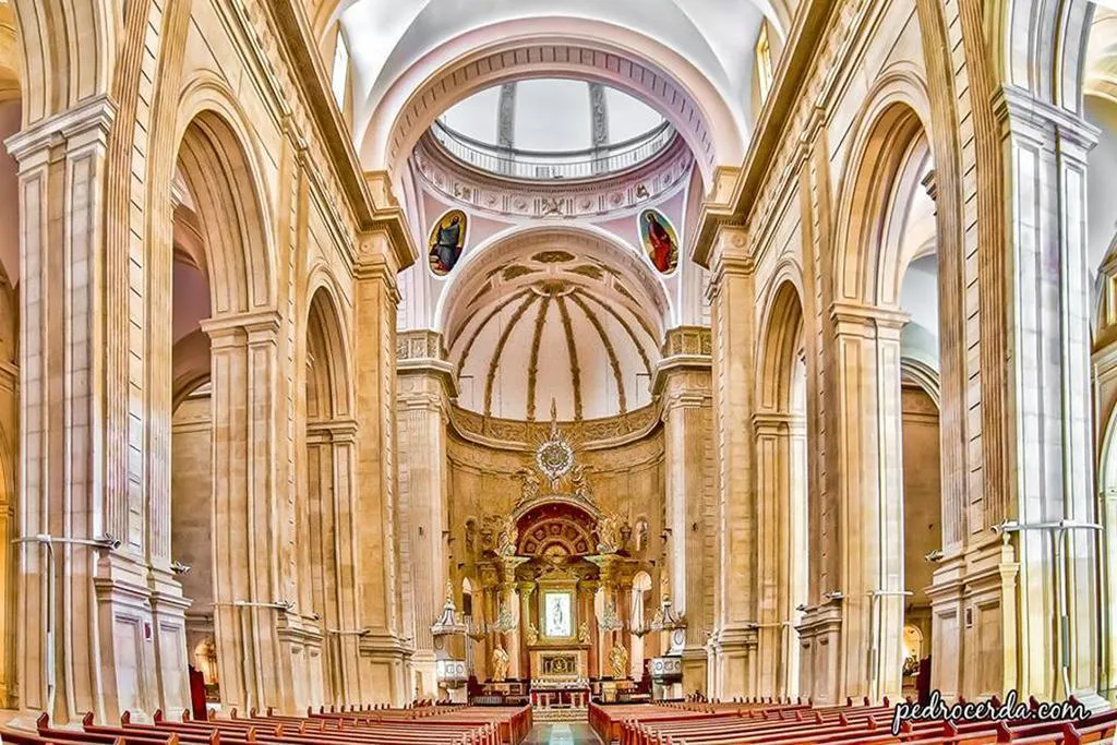 General view, Vernisa, Valencia