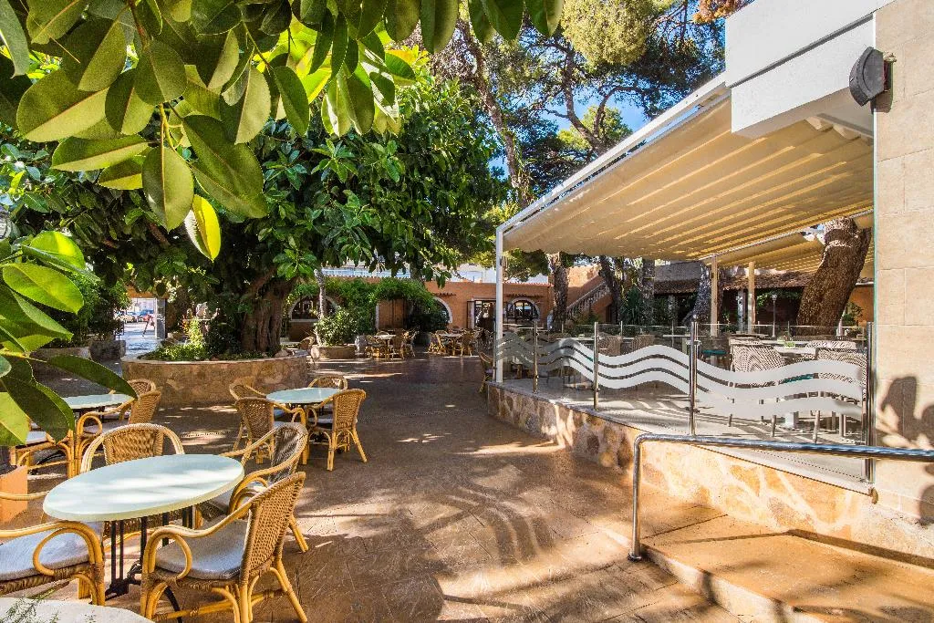 Bar, Baviera Hotel, Majorca