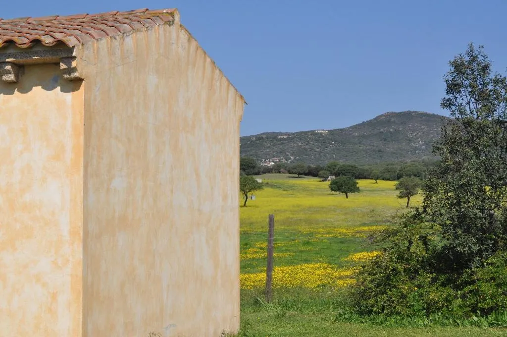 General view, Bed And Breakfast Pubulos, Olbia