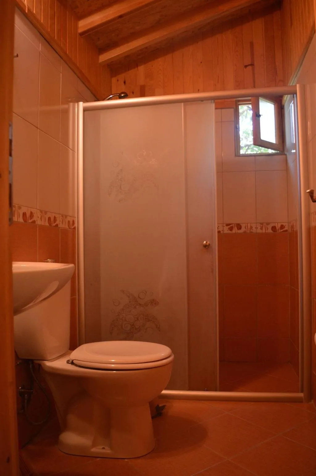 Room, Caretta Caretta Pension, Antalya